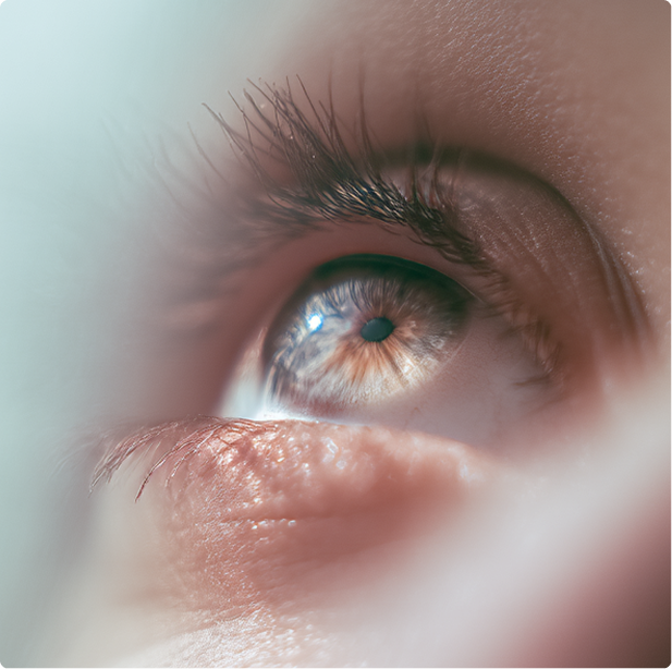 Woman Lash - Before and After